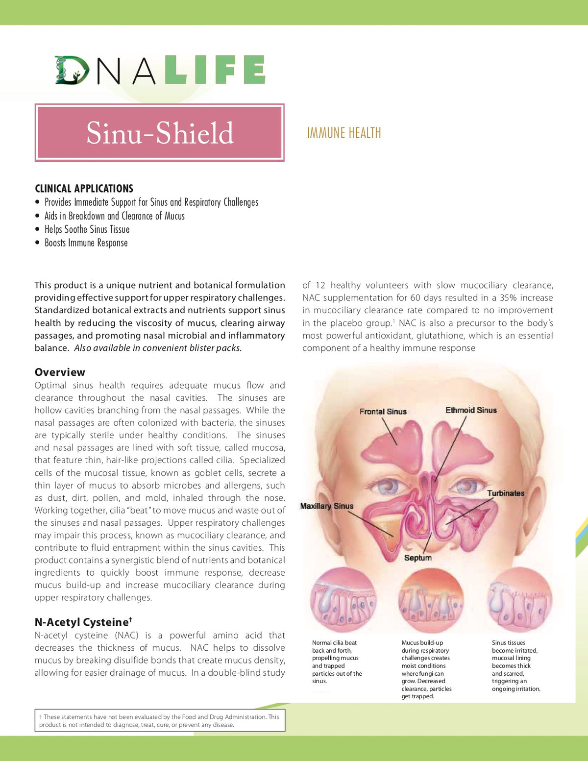 Sinu Module Sinu-Shield